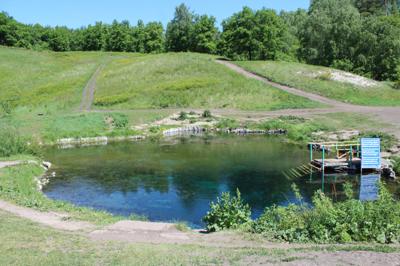 Фото автора.