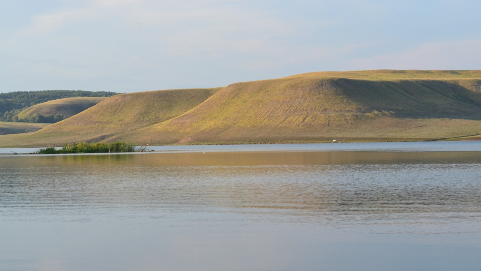 Владимира Шакиева. «Общественная электронная газета».
