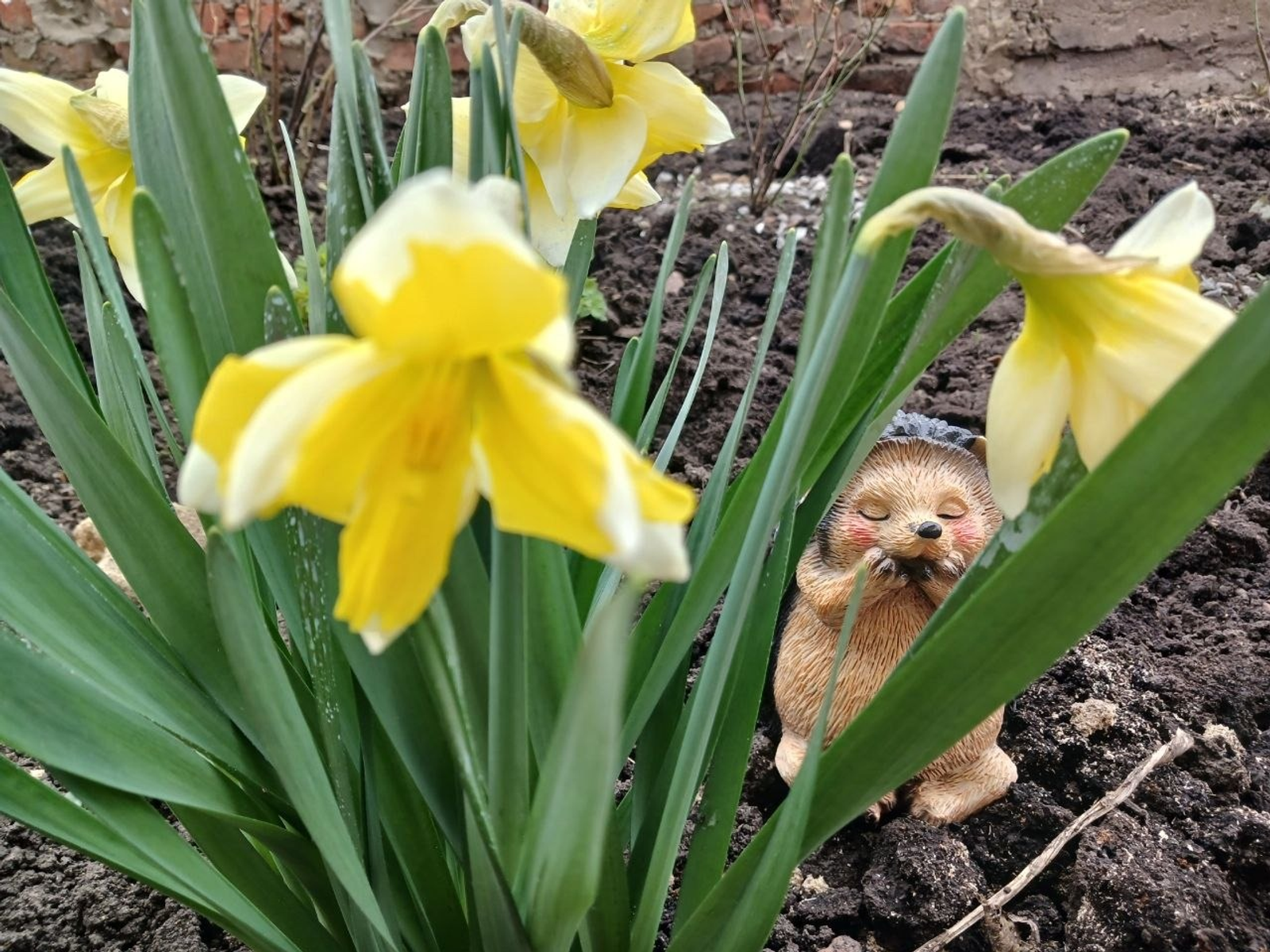 Васили Саитовой. «Общественная электронная газета».