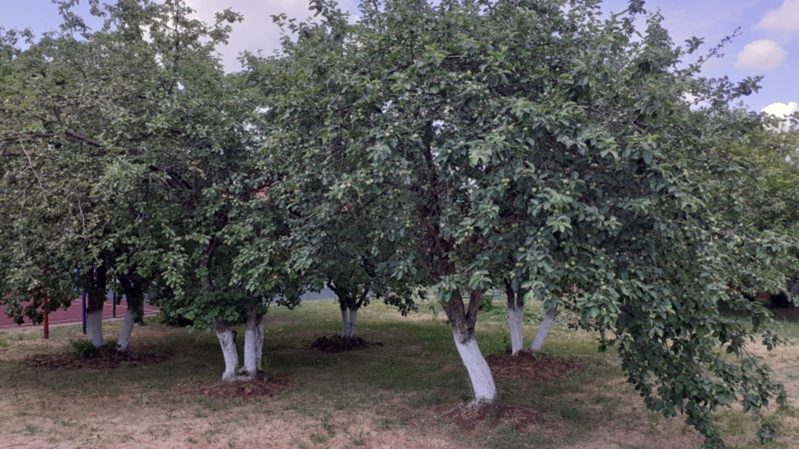 Фото автора.