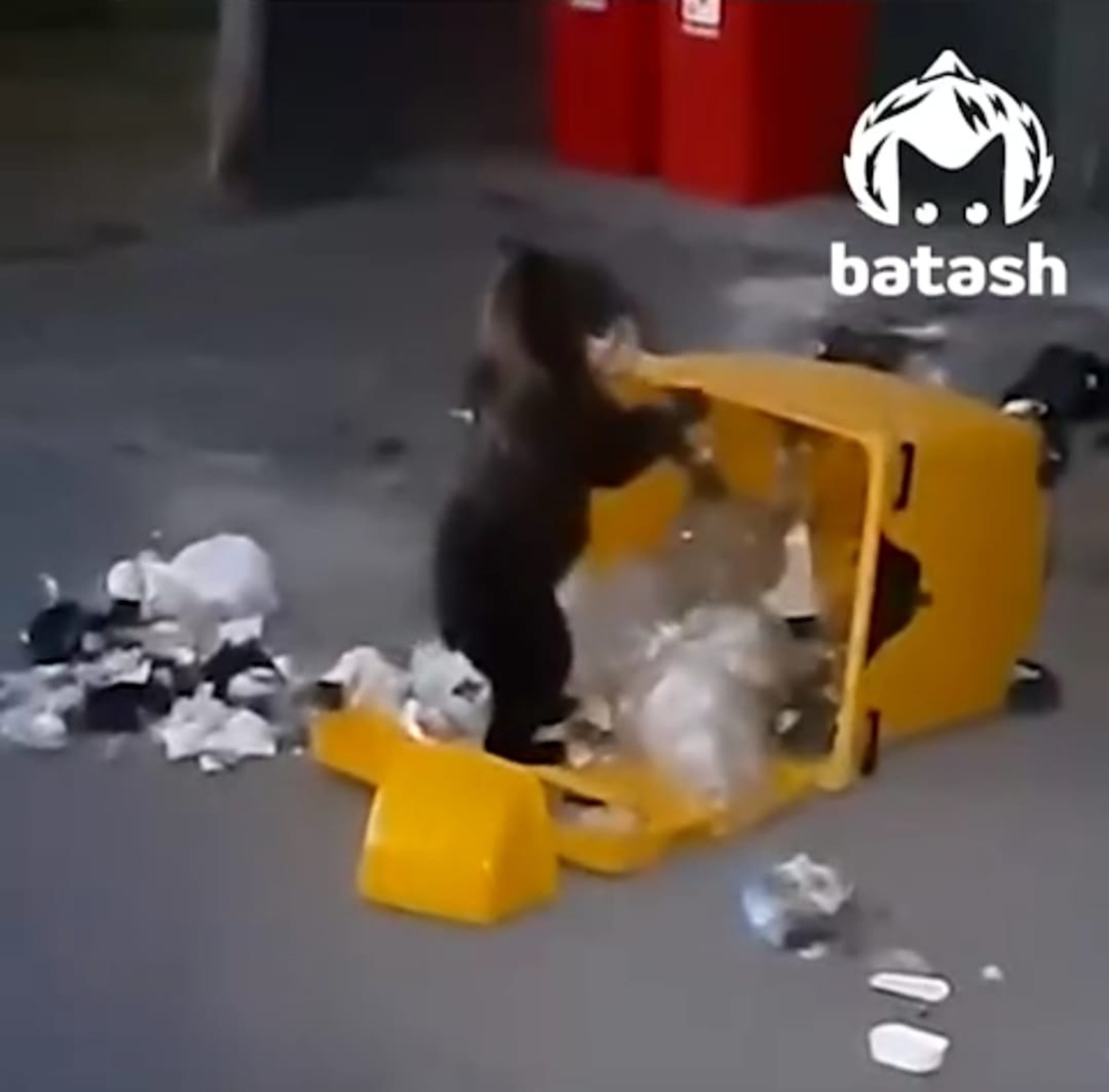 скриншот видео.