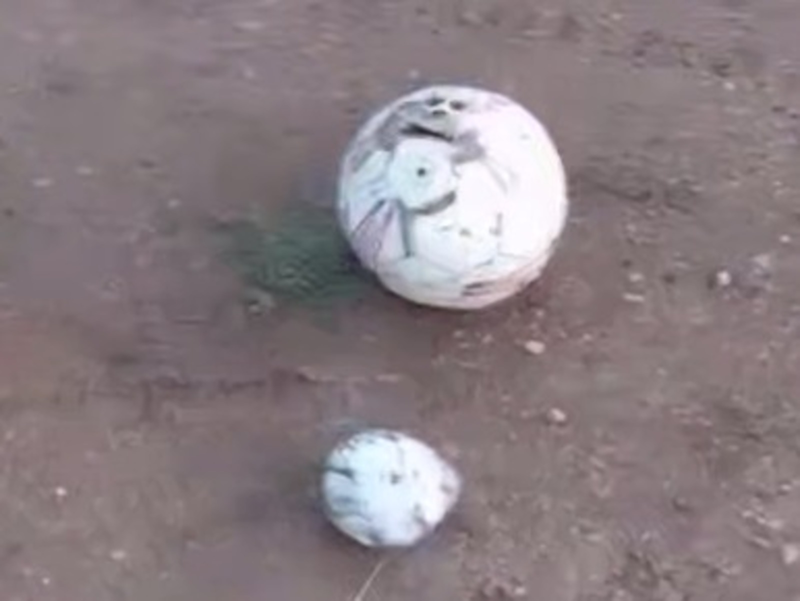 телеграм-канал «Моя Уфа», скриншот видео.