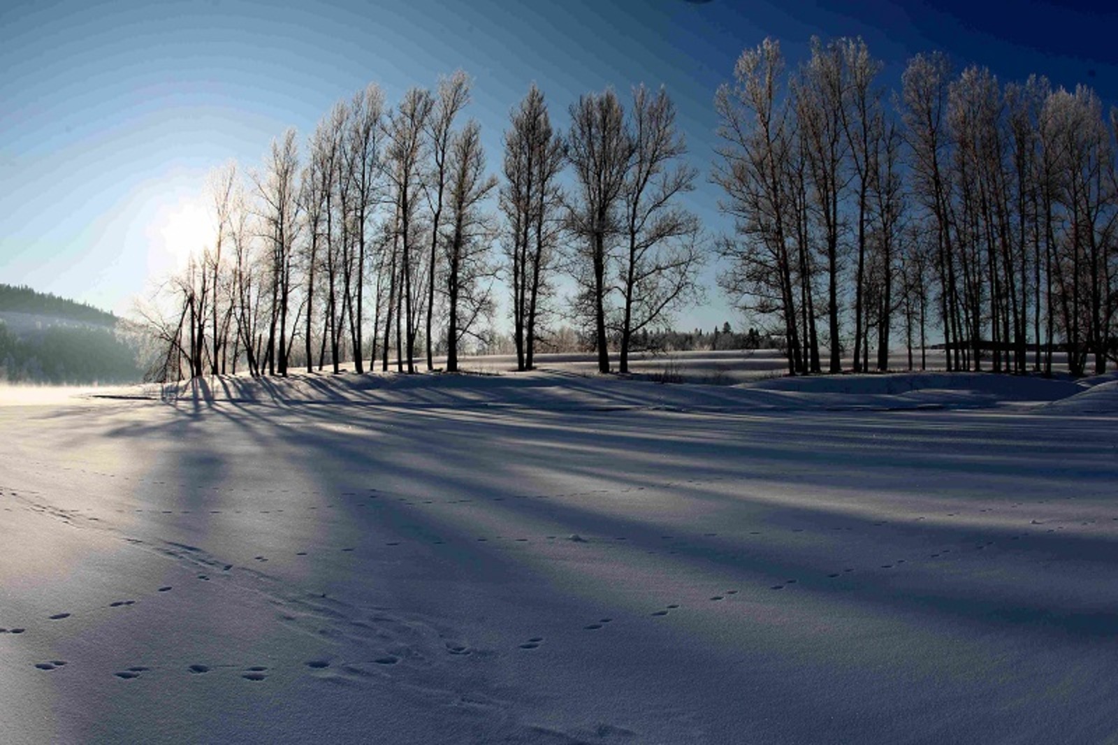 Фото Олега Яровикова.