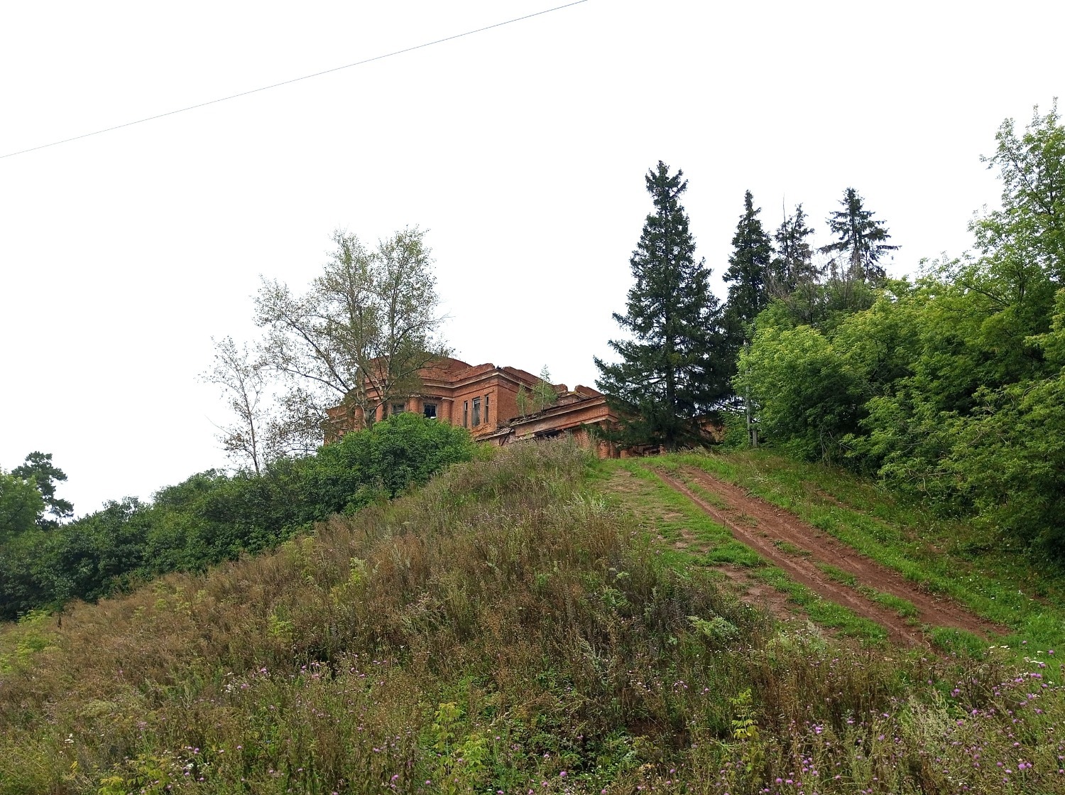 Евгении Сюткиной. «Общественная электронная газета»