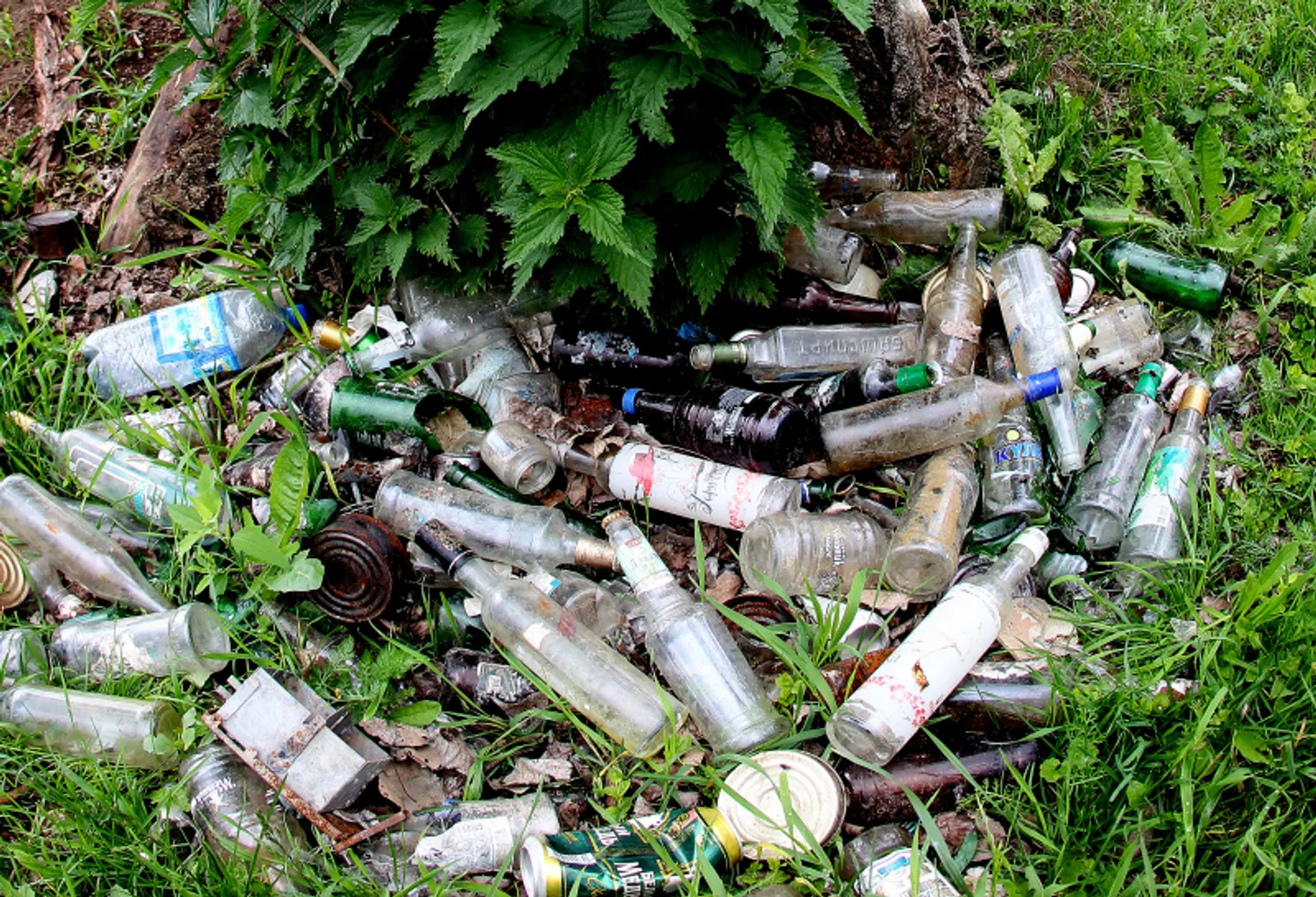 Фото Олега Яровикова.