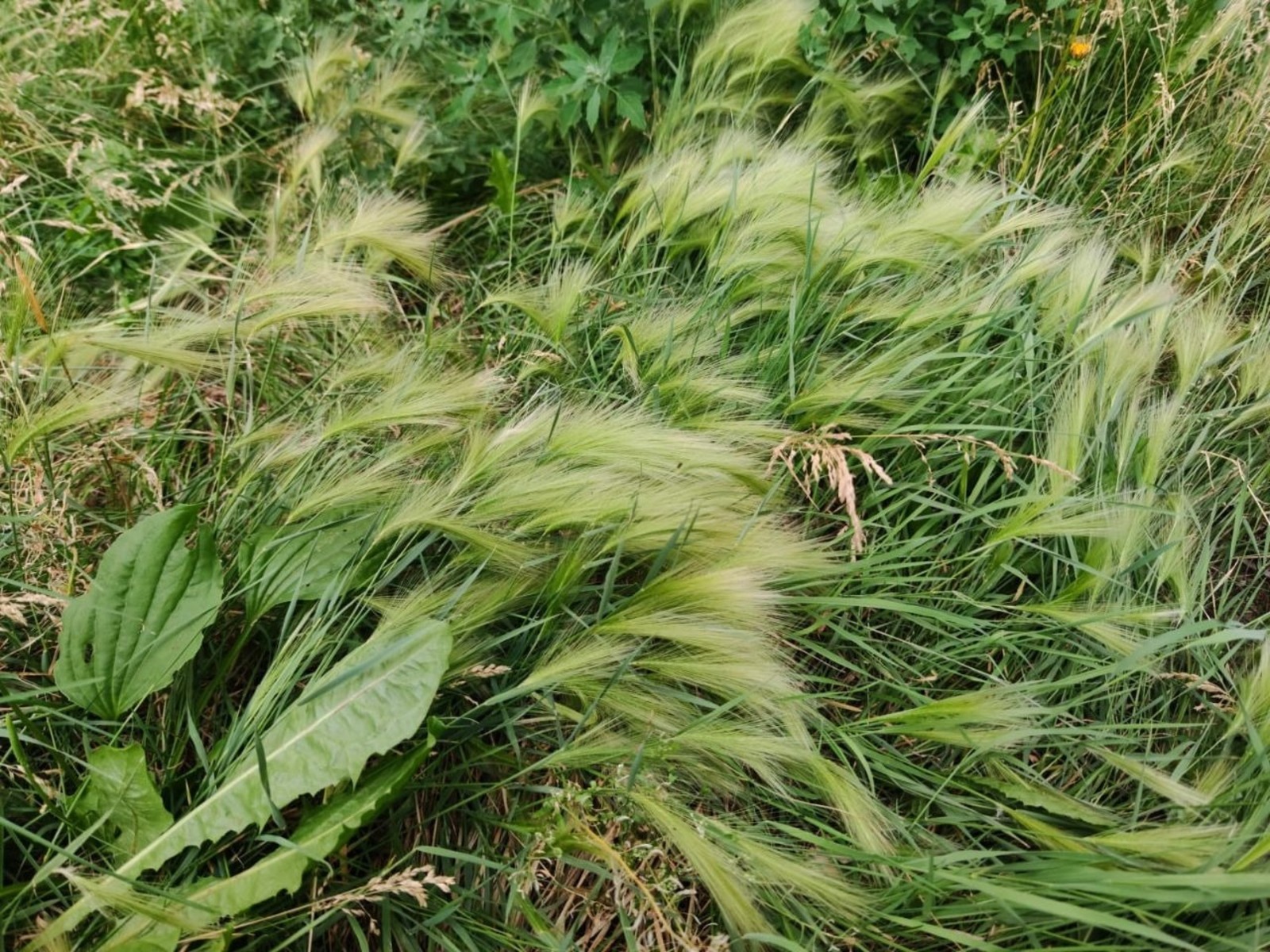 Дарьи Святохиной.