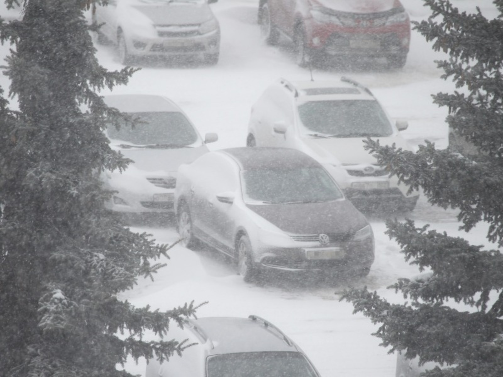 Фото Олега Яровикова.