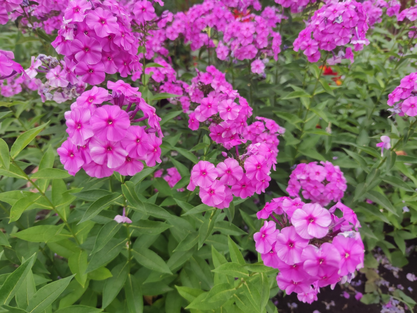 Дарьи Святохиной.