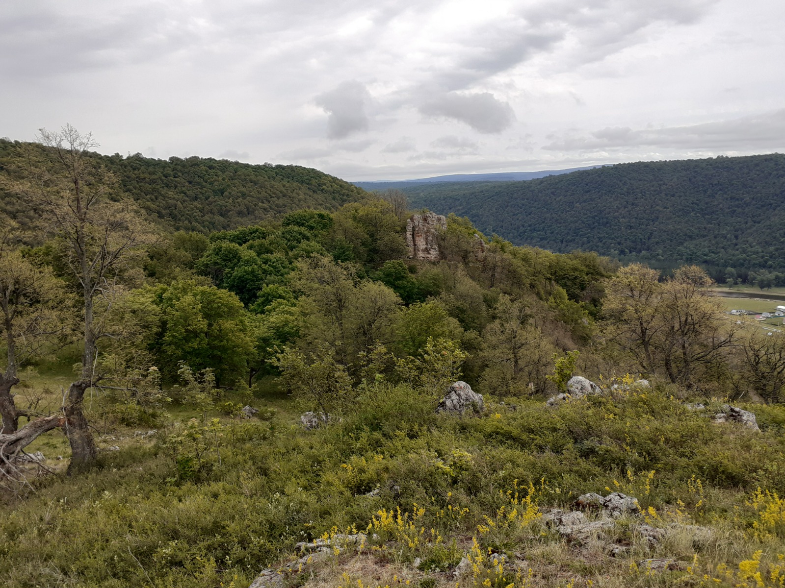 Владимира Шакиева.