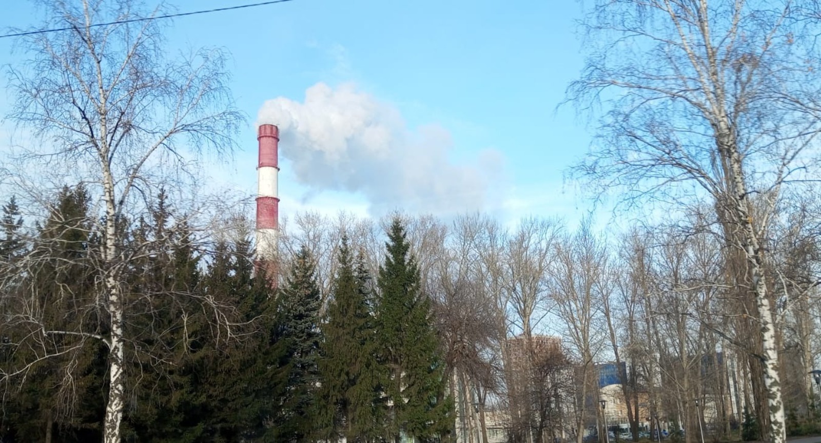 Евгении Сюткиной. «Общественная электронная газета».