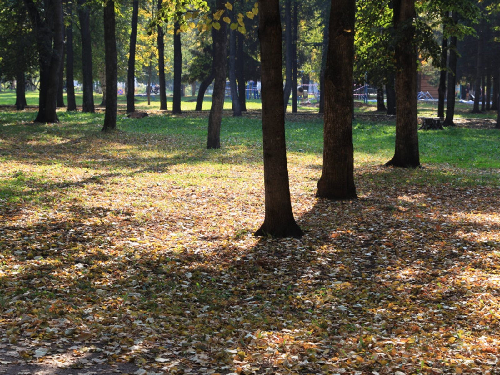 Фото Олега Яровикова.