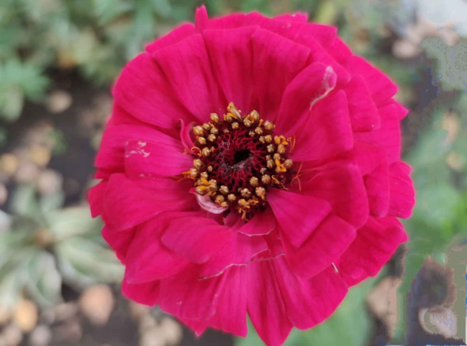 Дарьи Святохиной.