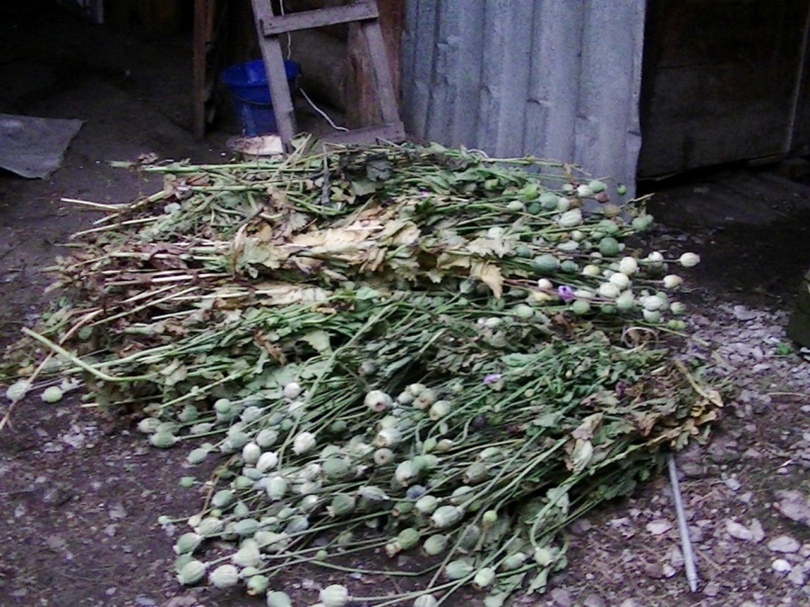 Фото ИА «Башинформ».