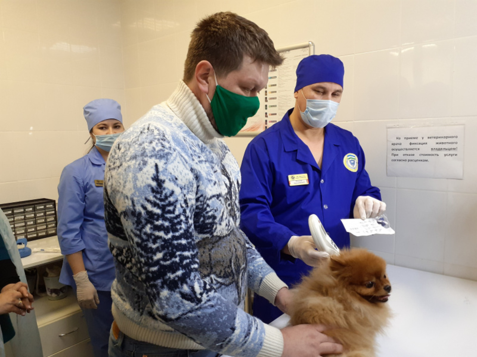 Фото автора.