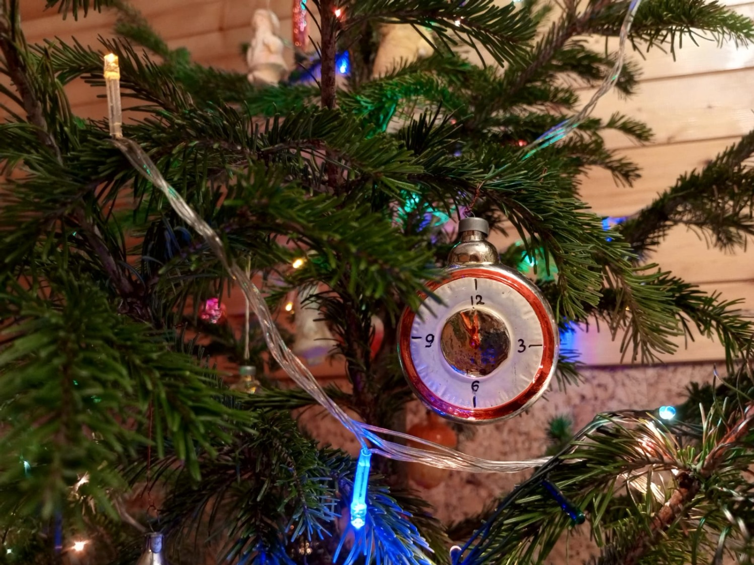 Евгении Сюткиной.