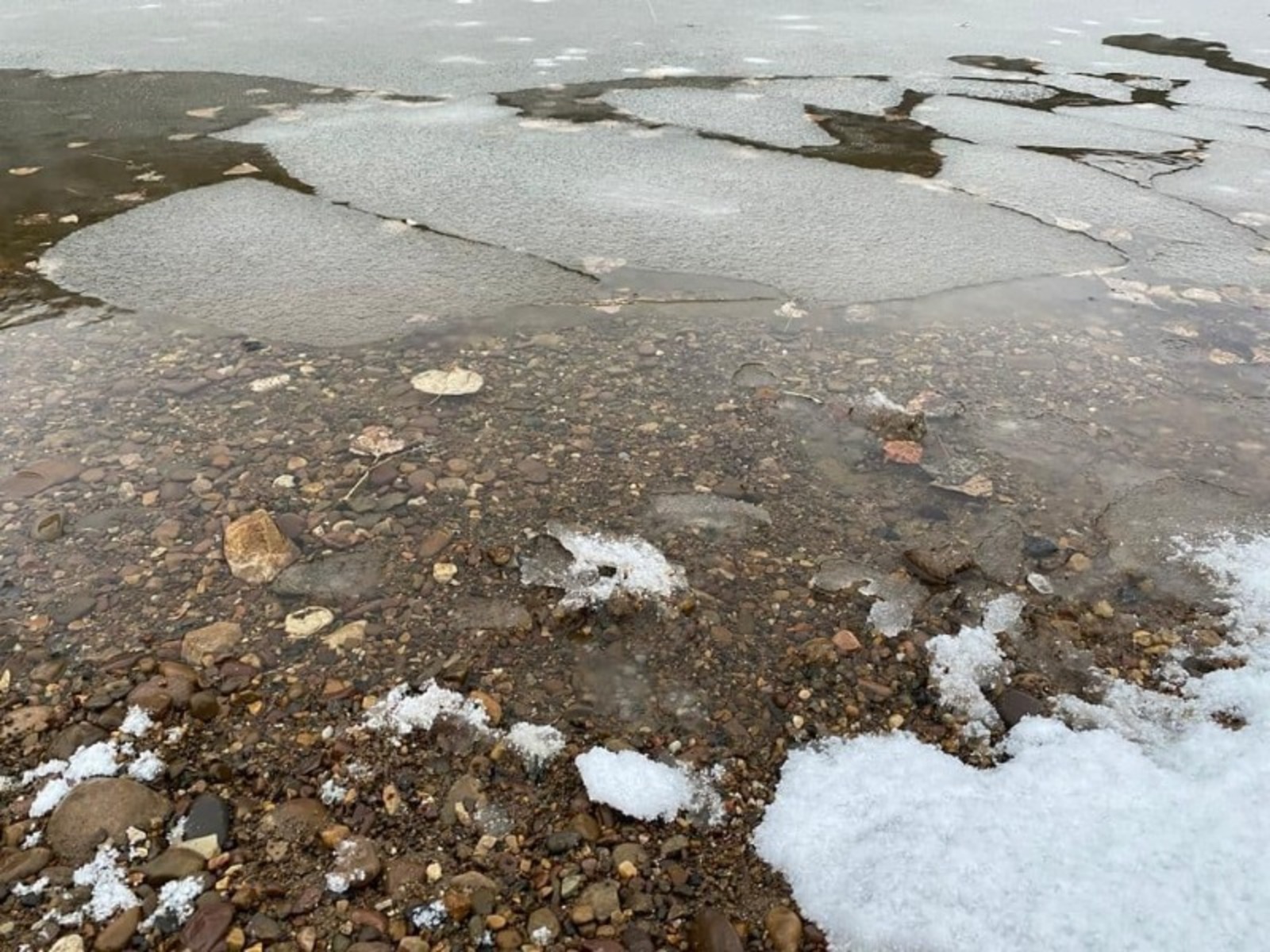 Елены Колоколовой.