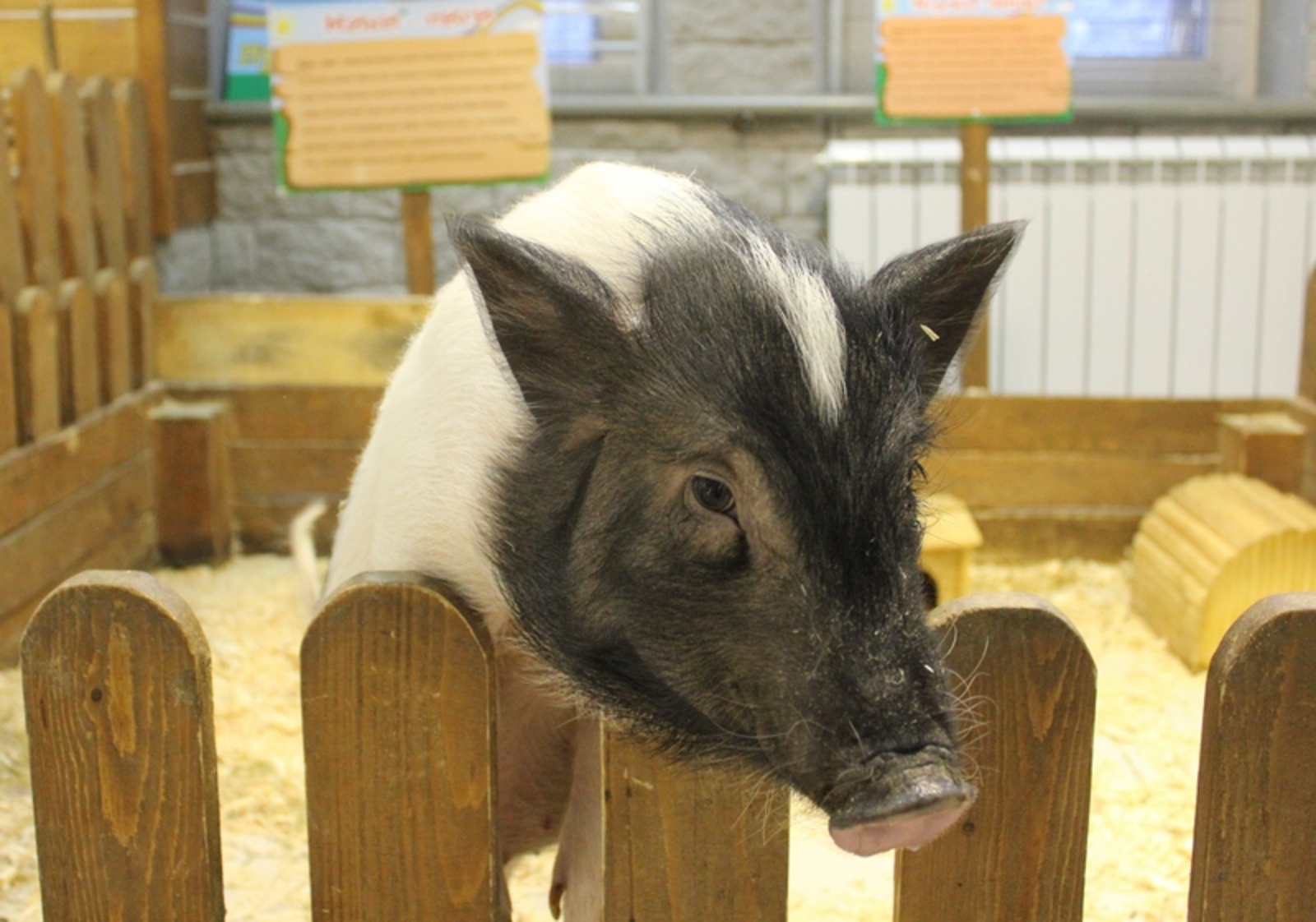 Фото автора.