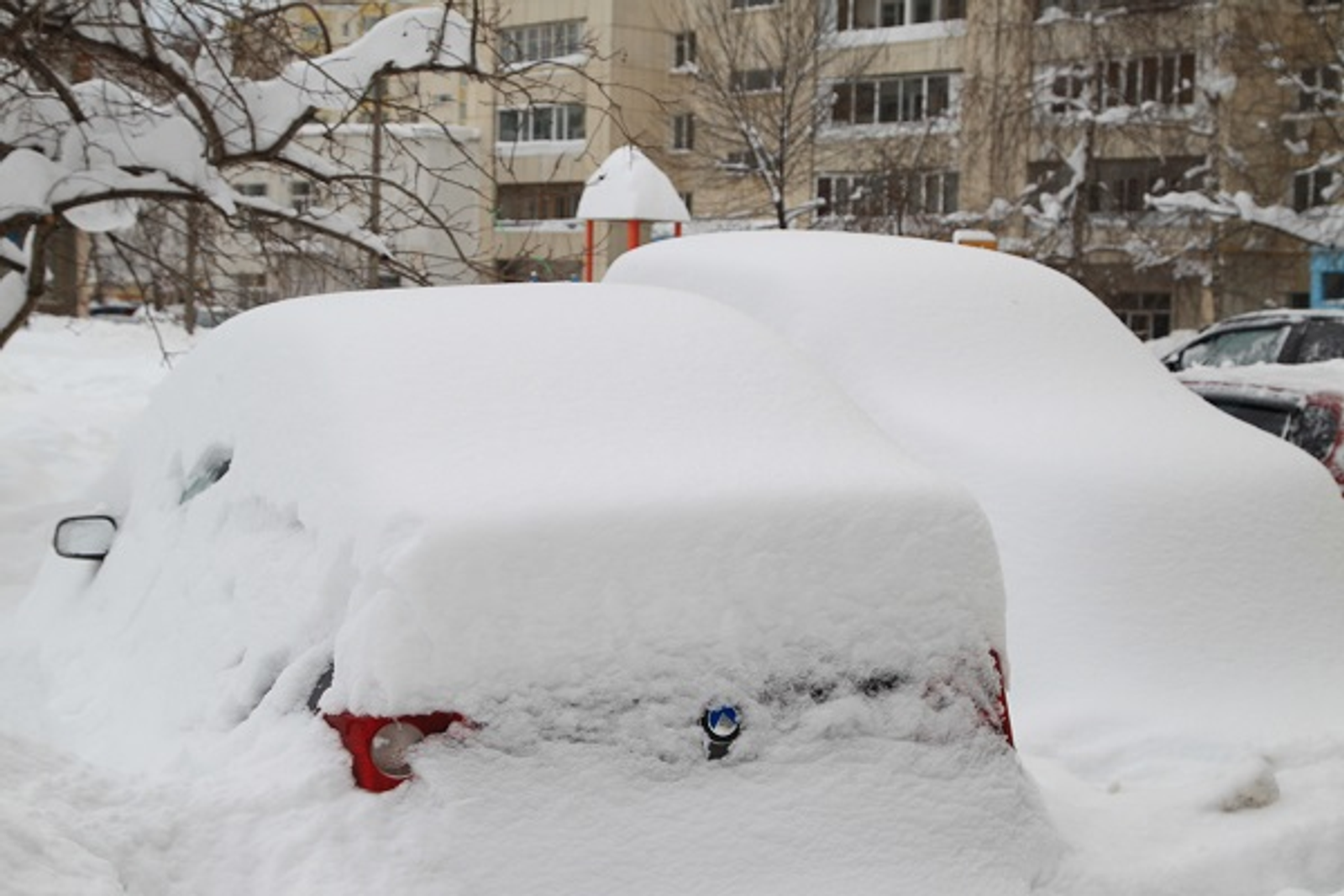 Фото Олега Яровикова (архив).