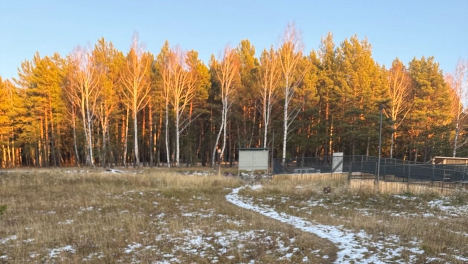 Елены Колоколовой.