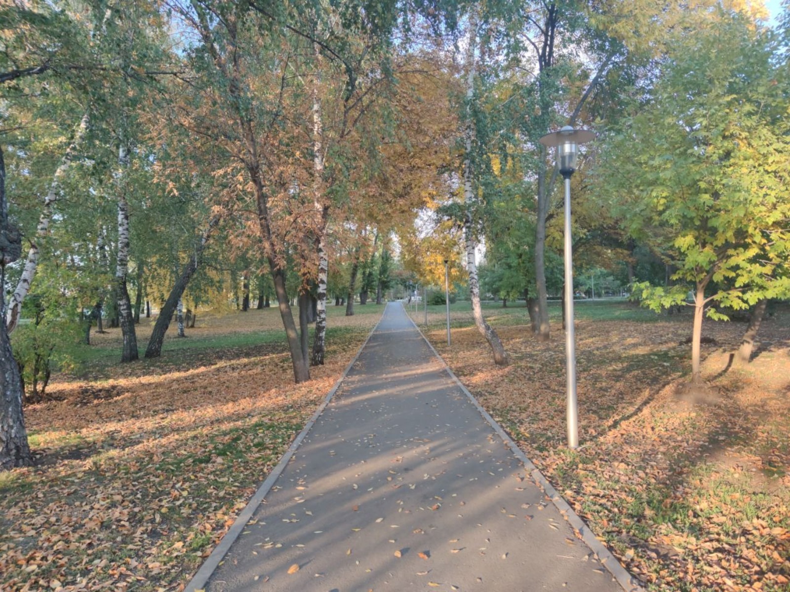 Дарьи Святохиной.