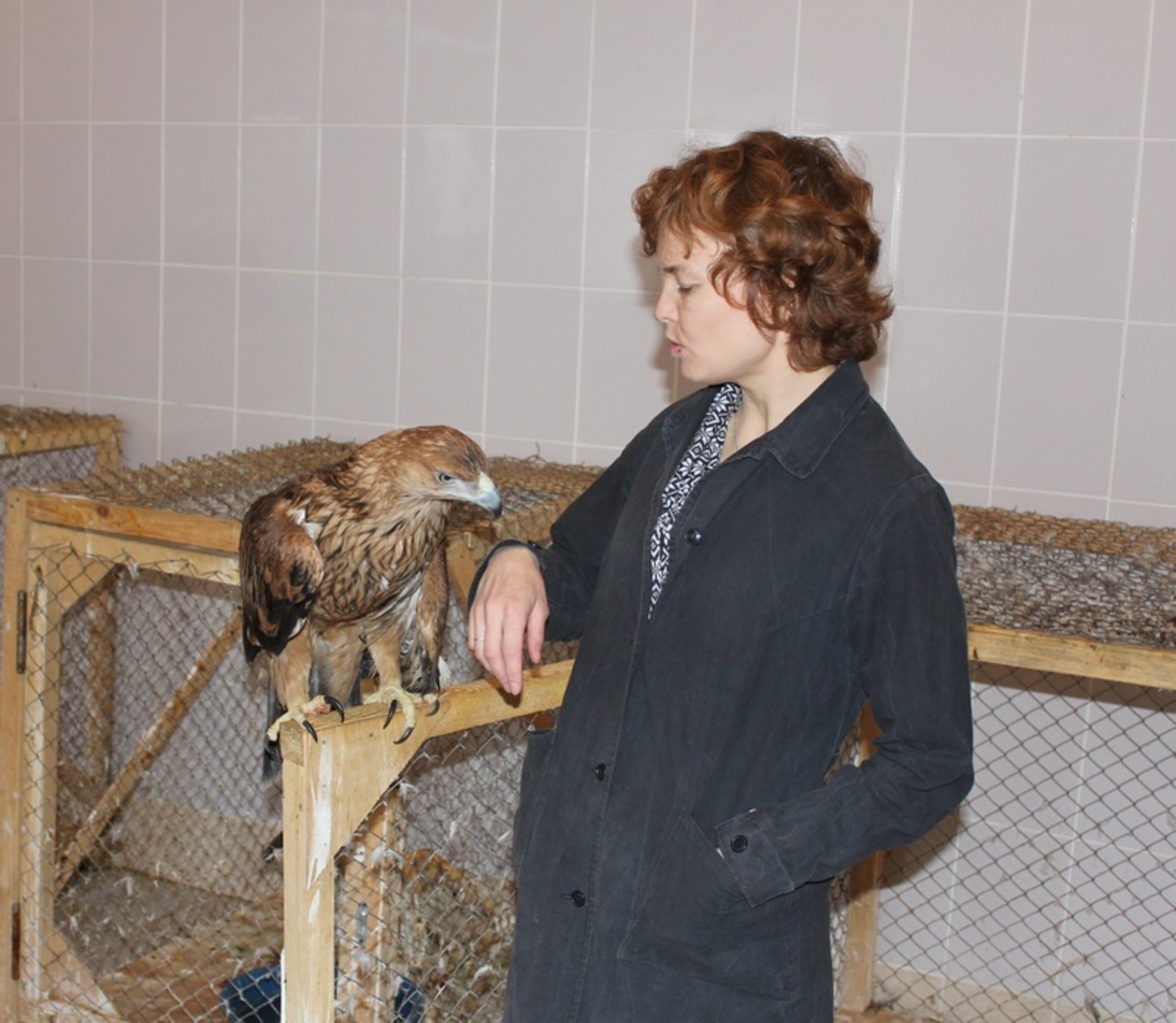 Фото автора.