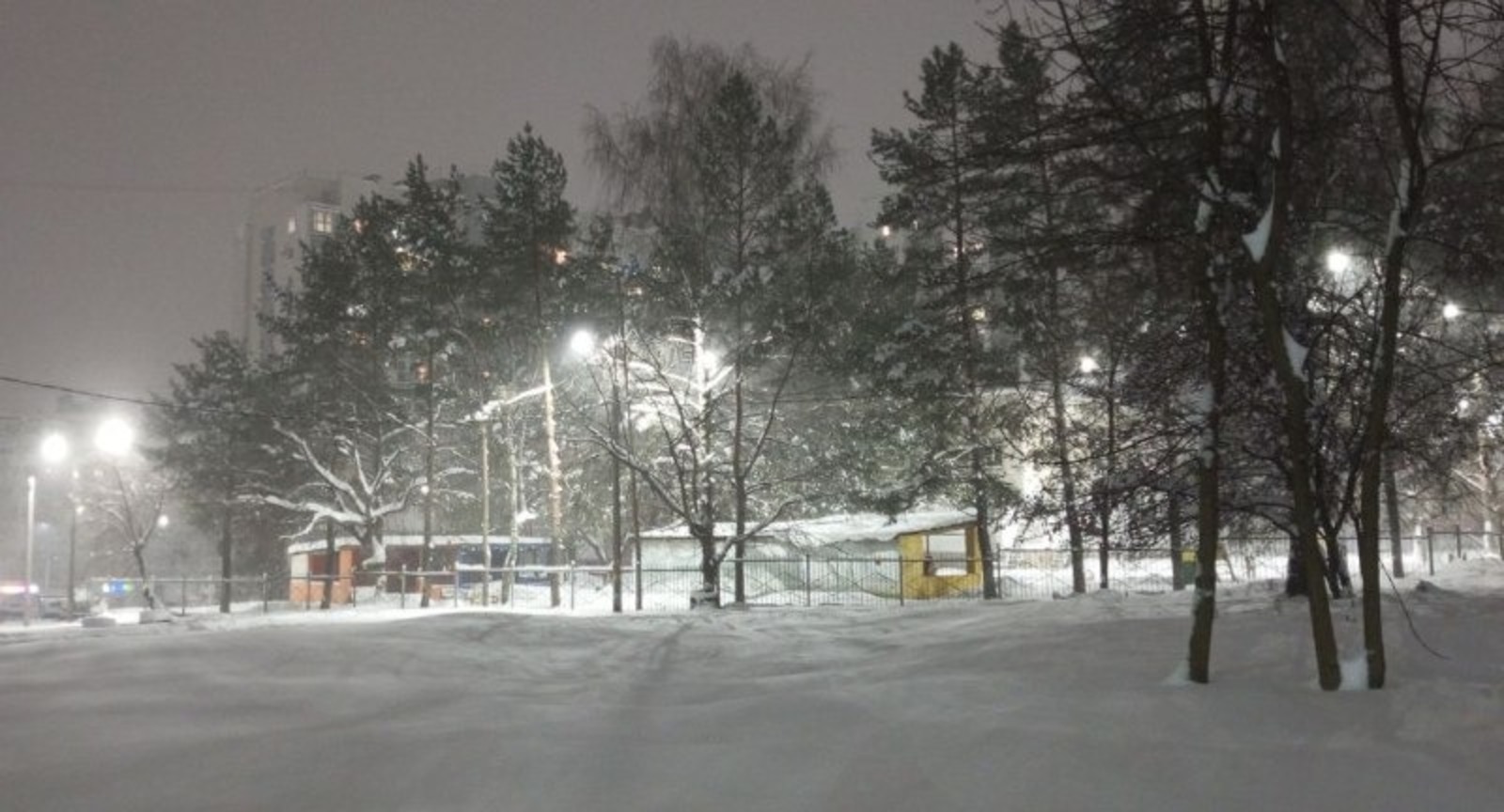 Евгении Сюткиной. «Общественная электронная газета».