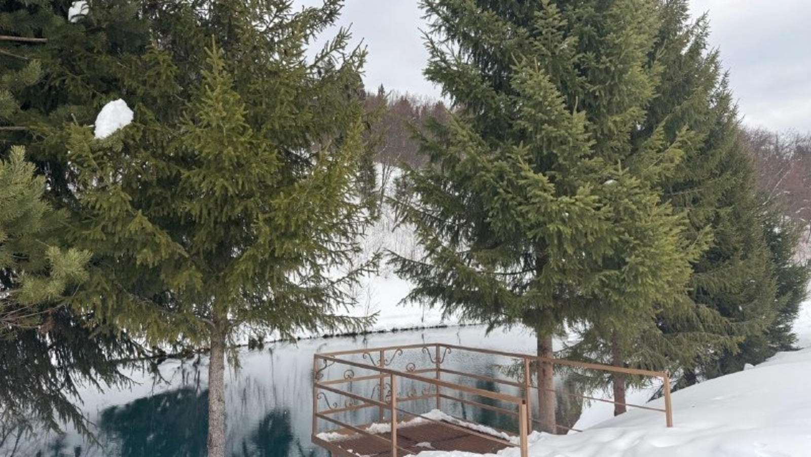 Елены Колоколовой.  «Общественная электронная газета».