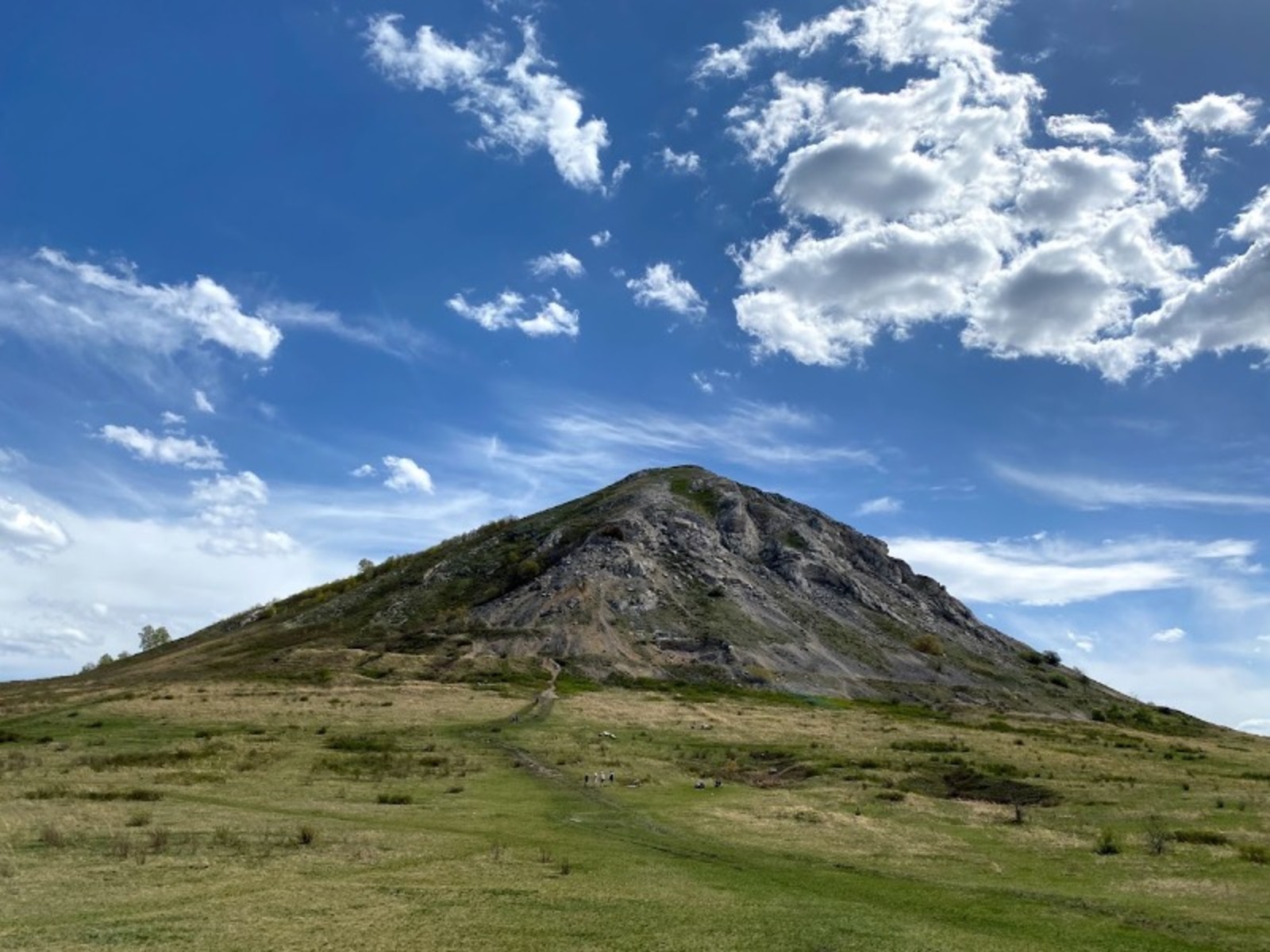 Елены Колоколовой.