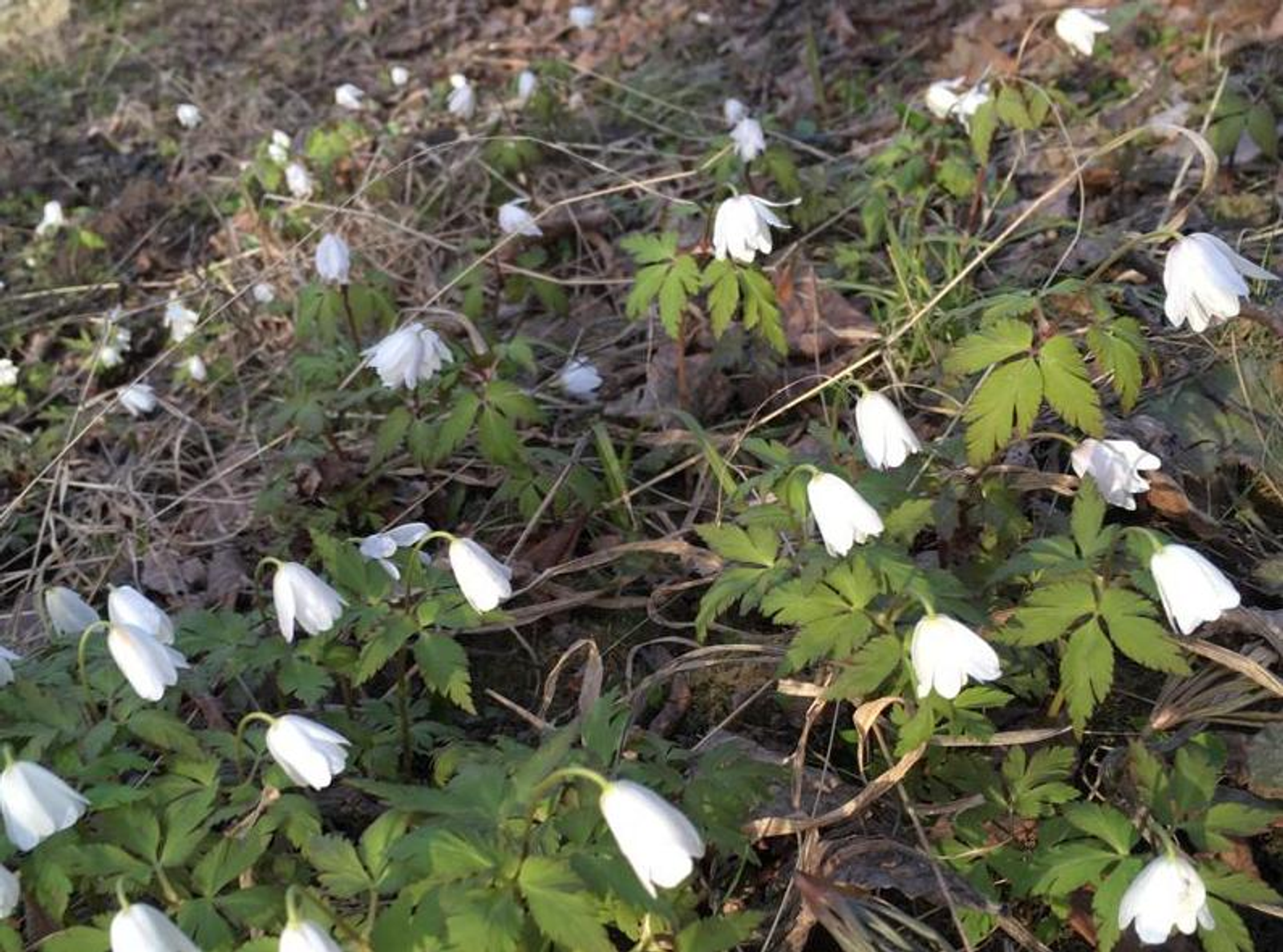 Фото Эльвиры Латыповой.