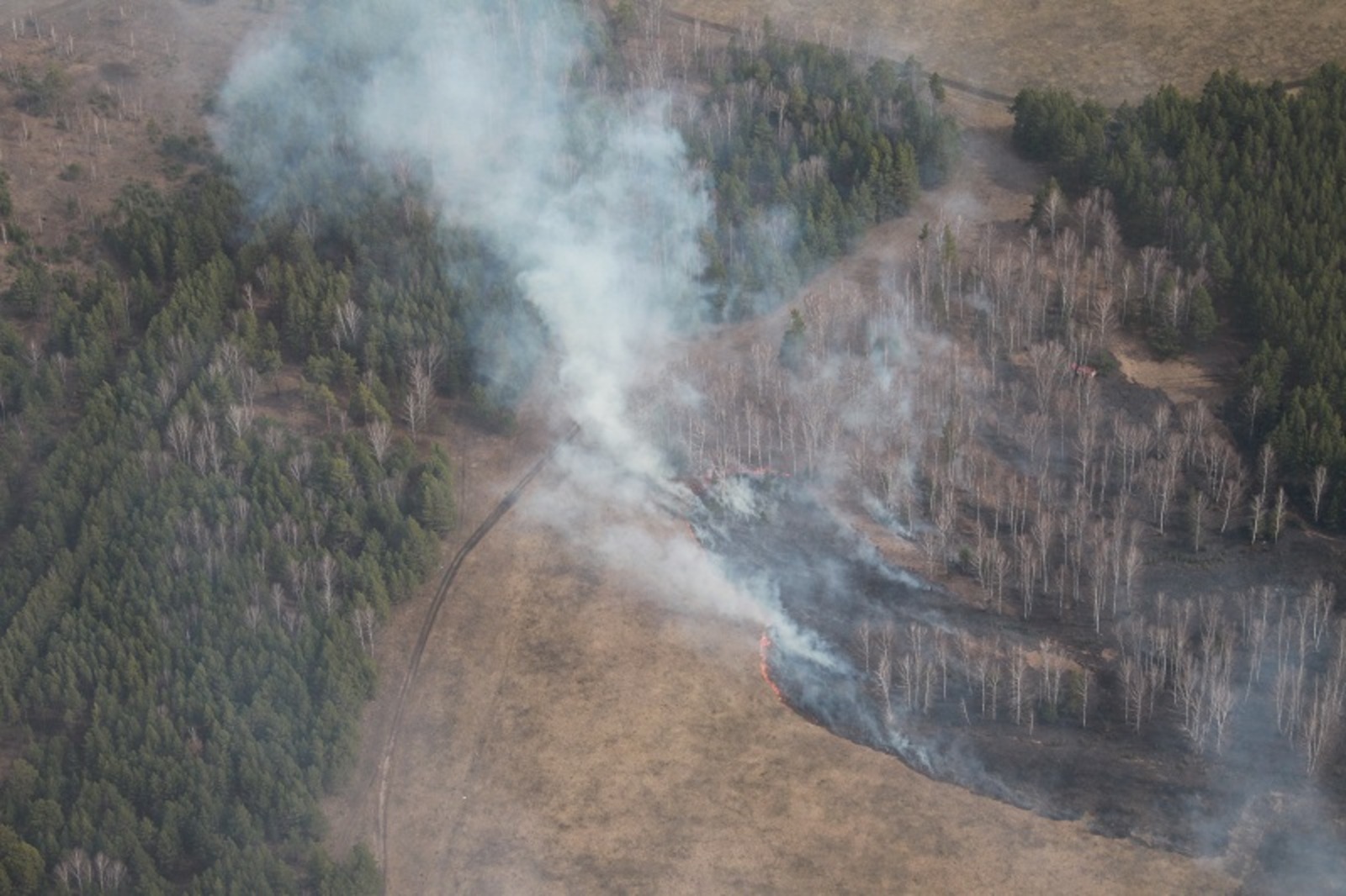 Фото Олега Яровикова.
