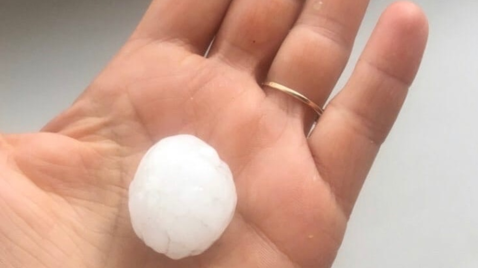 Фото предоставлено Еленой Кулаковой.