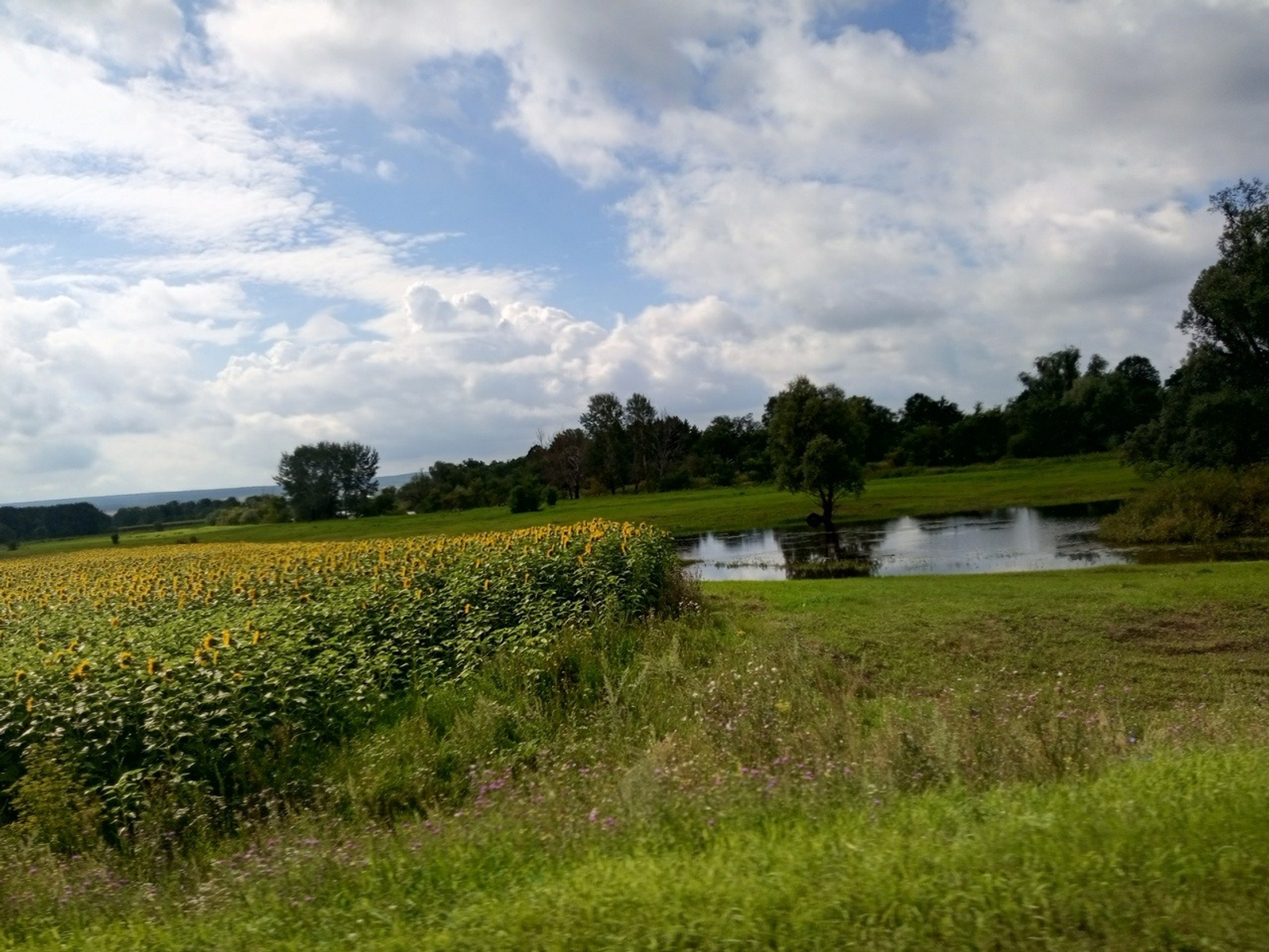 Евгении Сюткиной.
