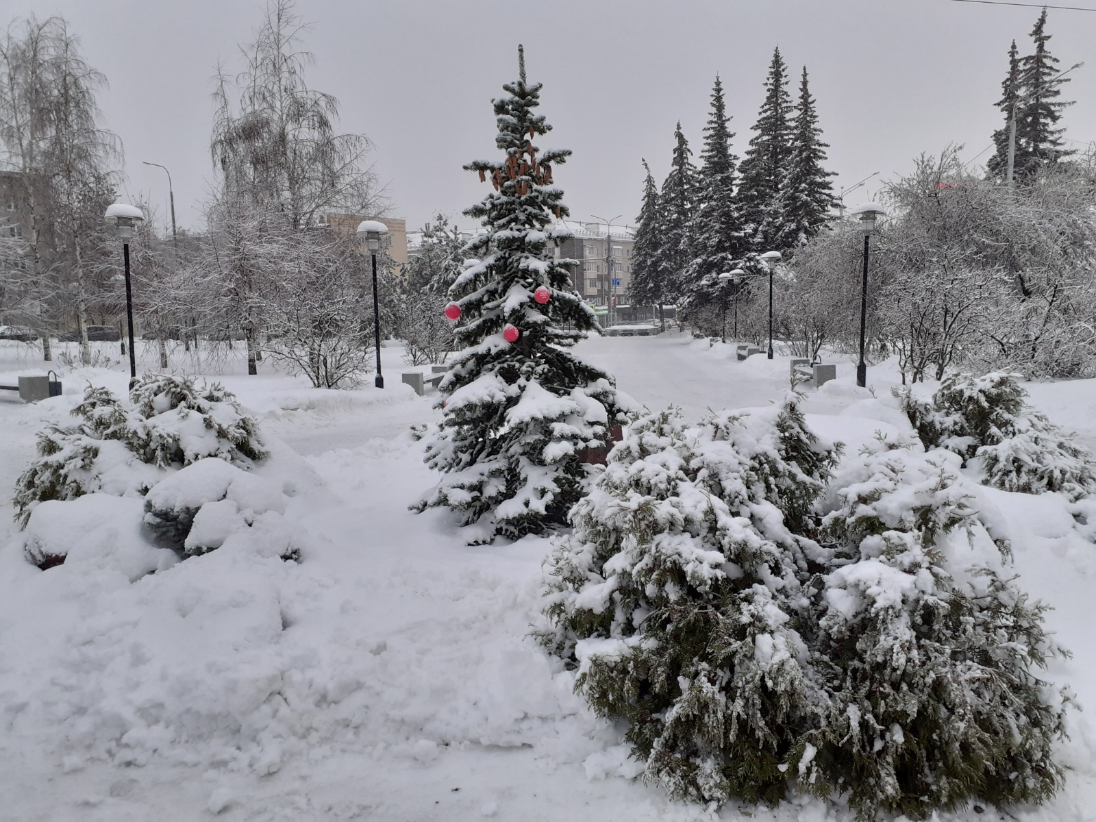 Владимира Шакиева.