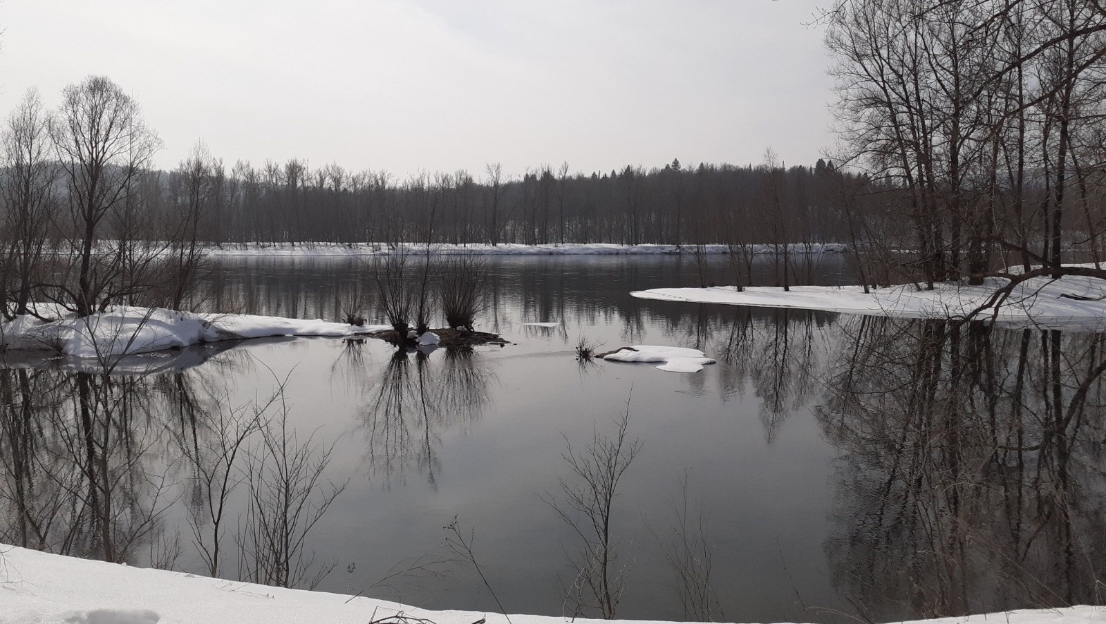 Владимира Шакиева. «Общественная электронная газета».