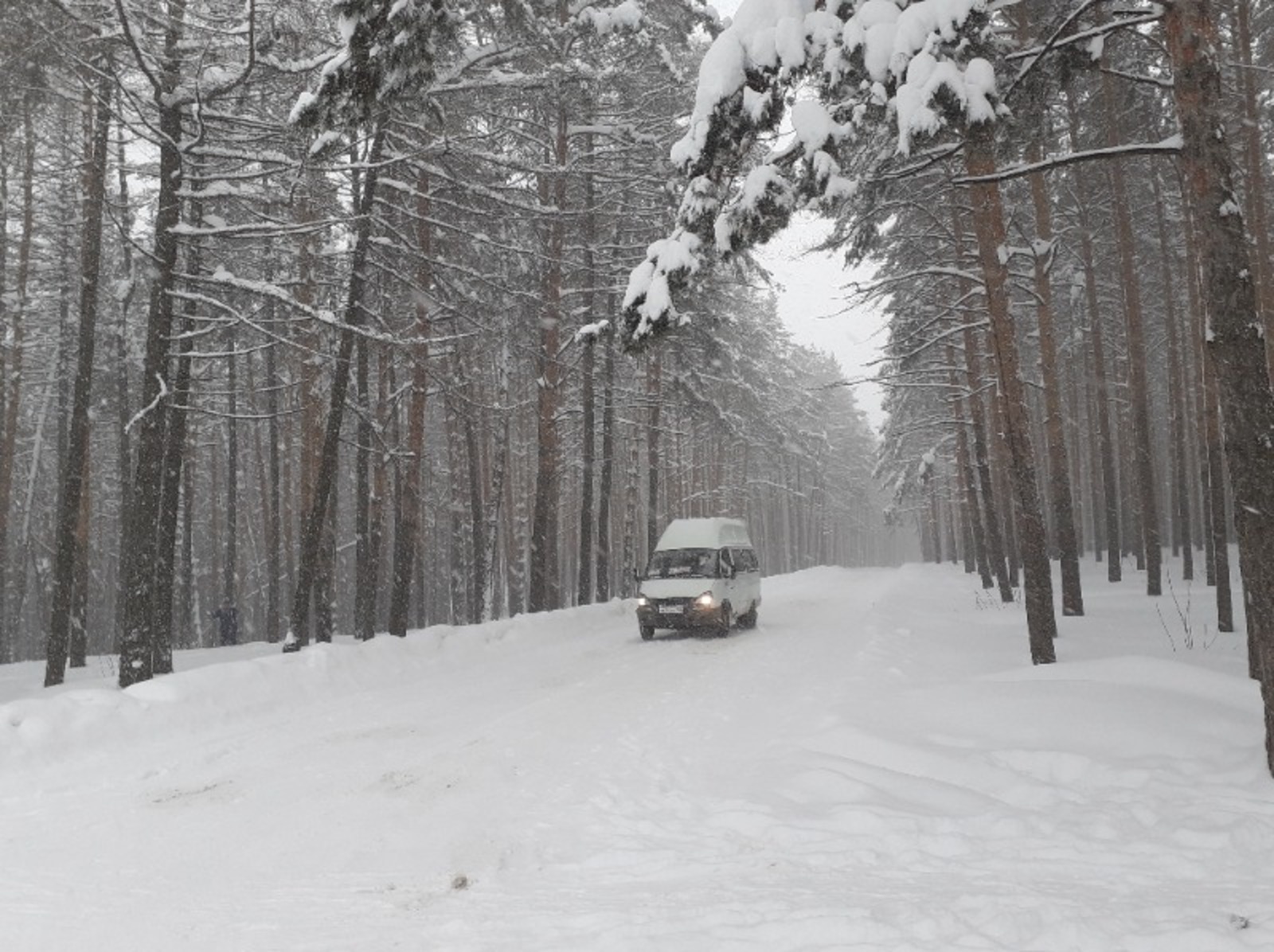 Владимира Шакиева.
