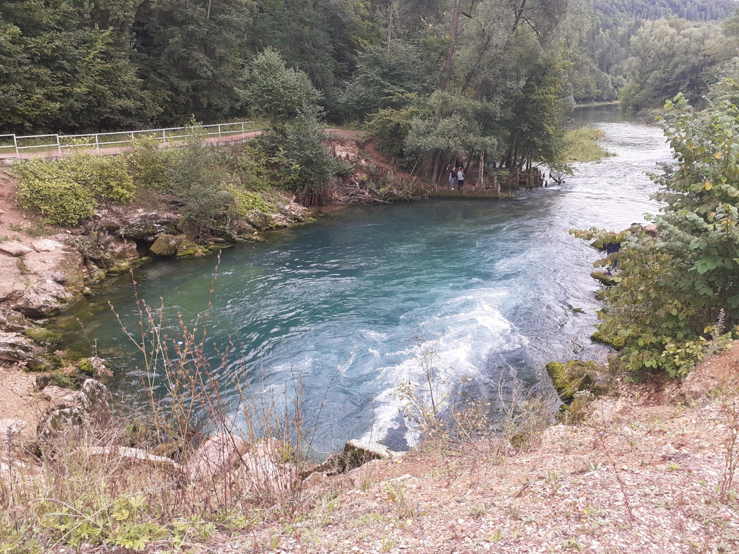 Владимира Шакиева.