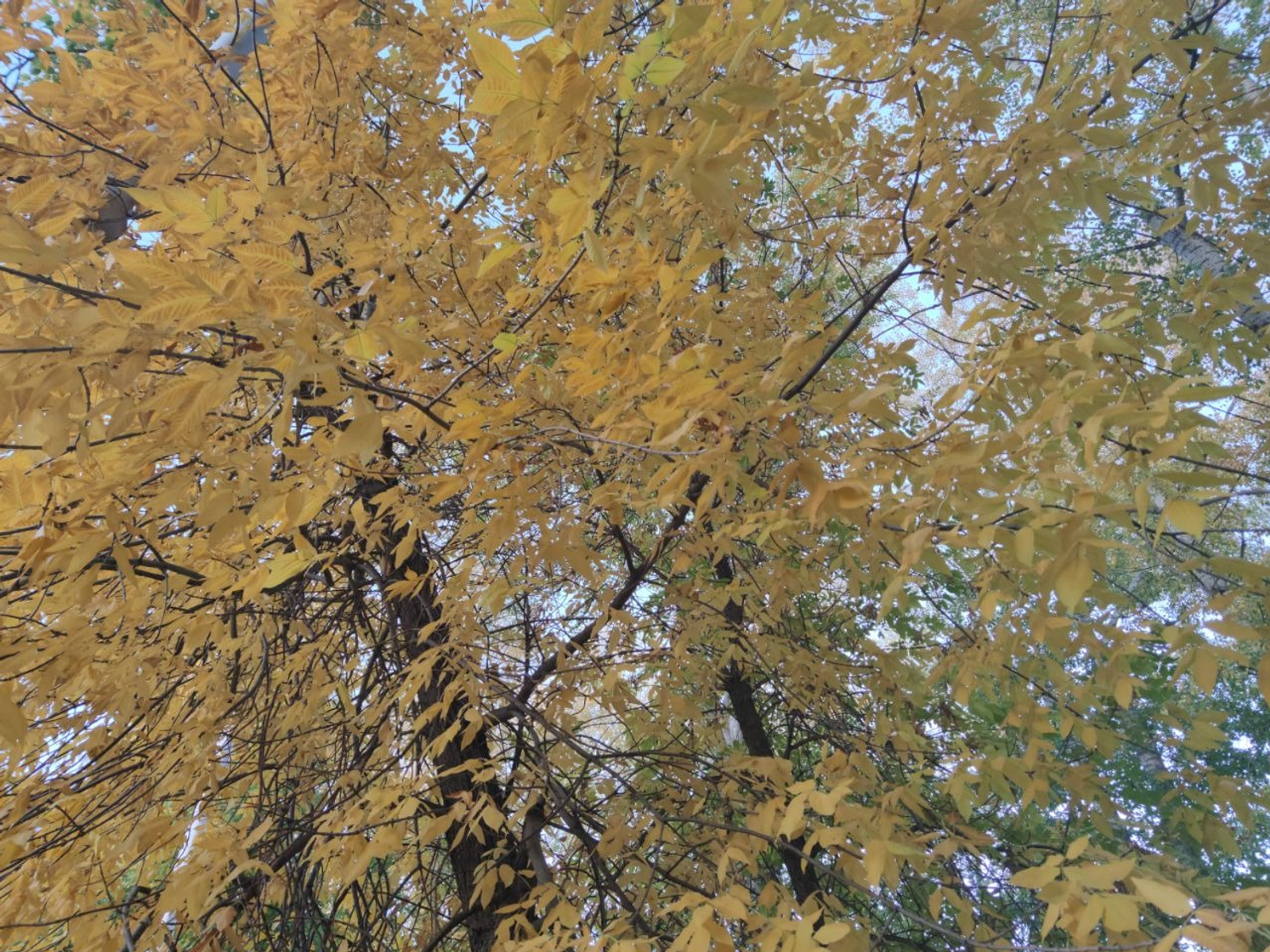 Дарьи Святохиной.