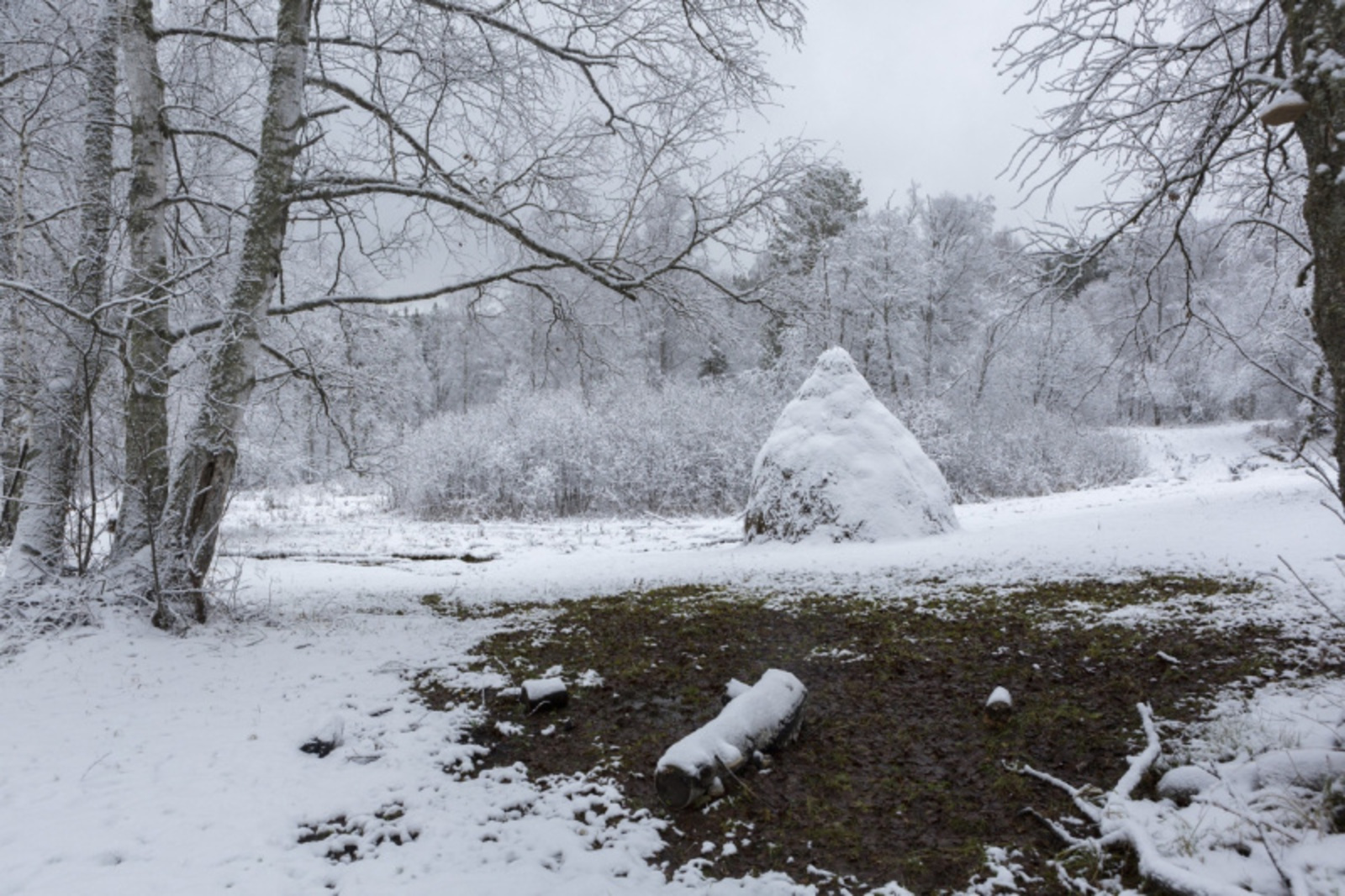 Фото Фаиля Абсатарова.