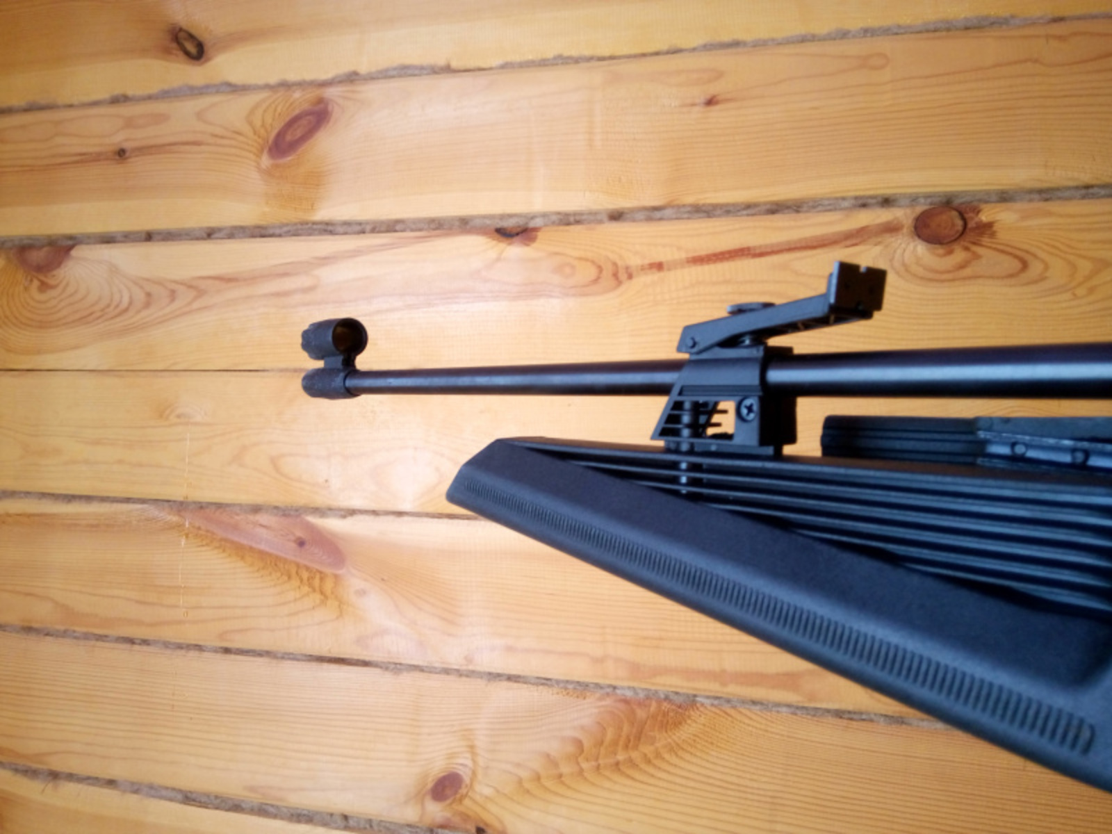 Фото Васили Саитовой.