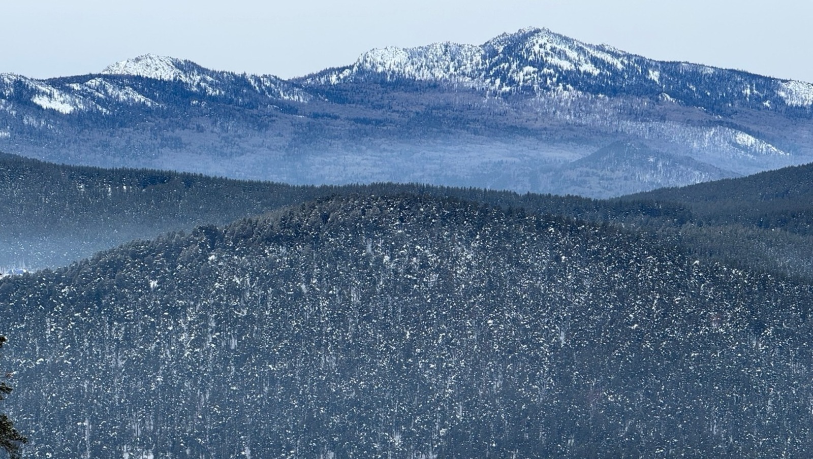 Елены Колоколовой.  «Общественная электронная газета».