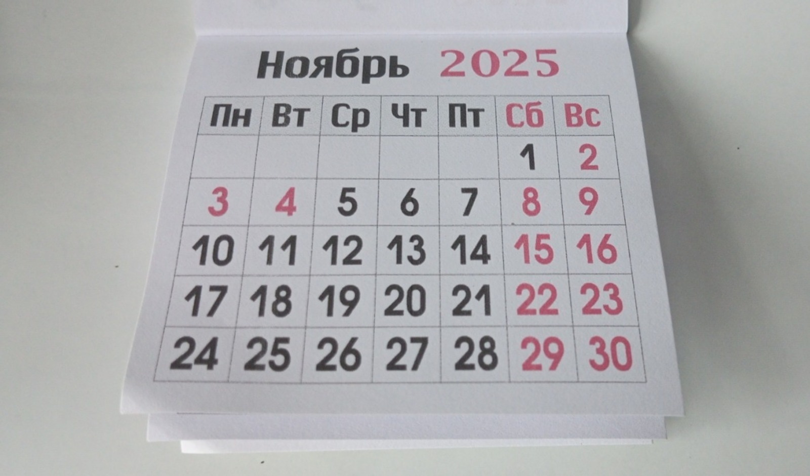 Евгении Сюткиной. "Общественная электронная газета".