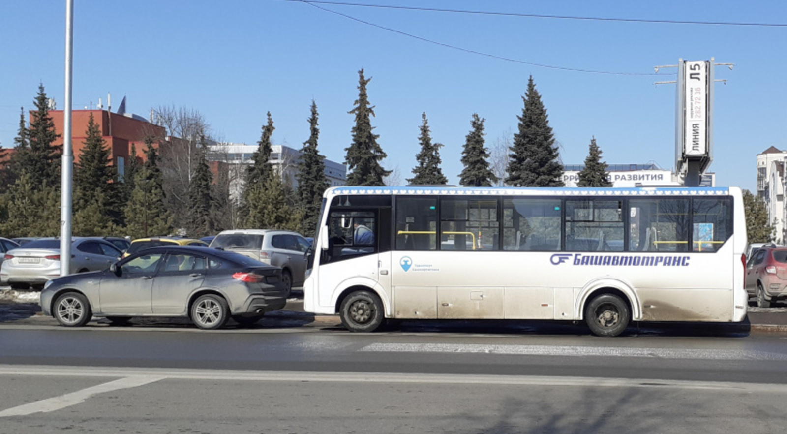 Фото автора.