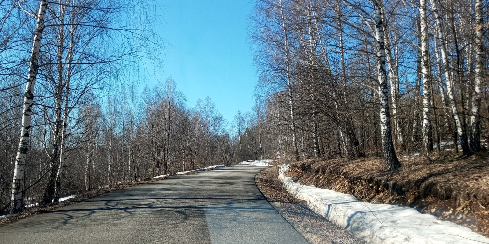 Евгении Сюткиной. «Общественная электронная газета».