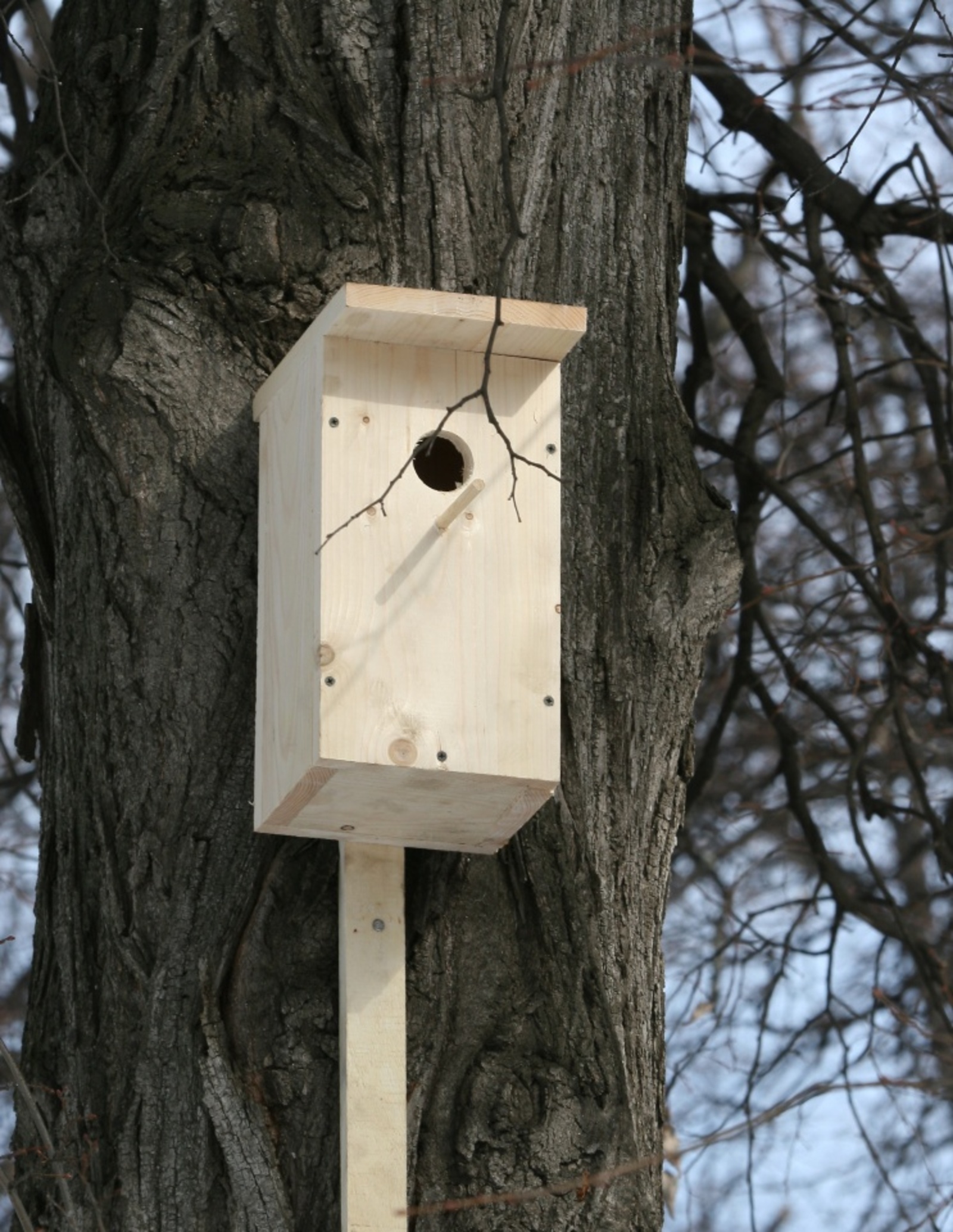 Фото Андрея Старостина.