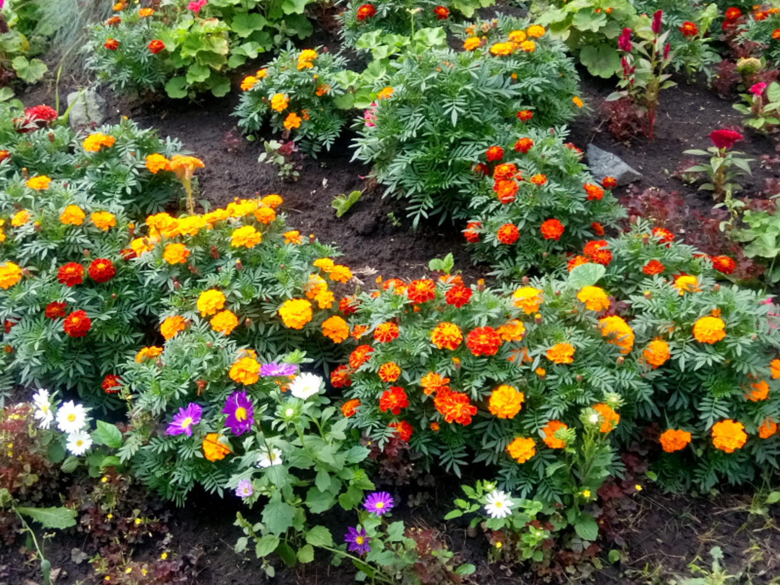 Фото Васили Саитовой.