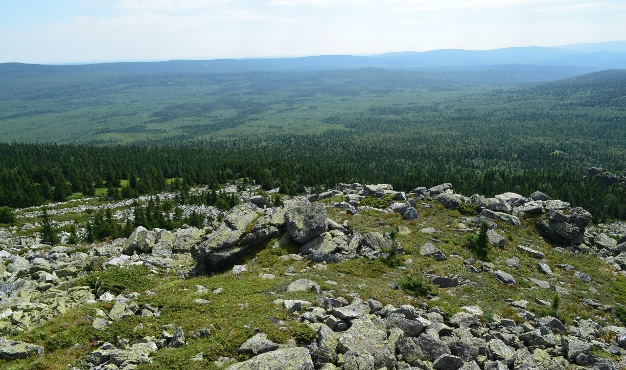 Владимира Шакиева.