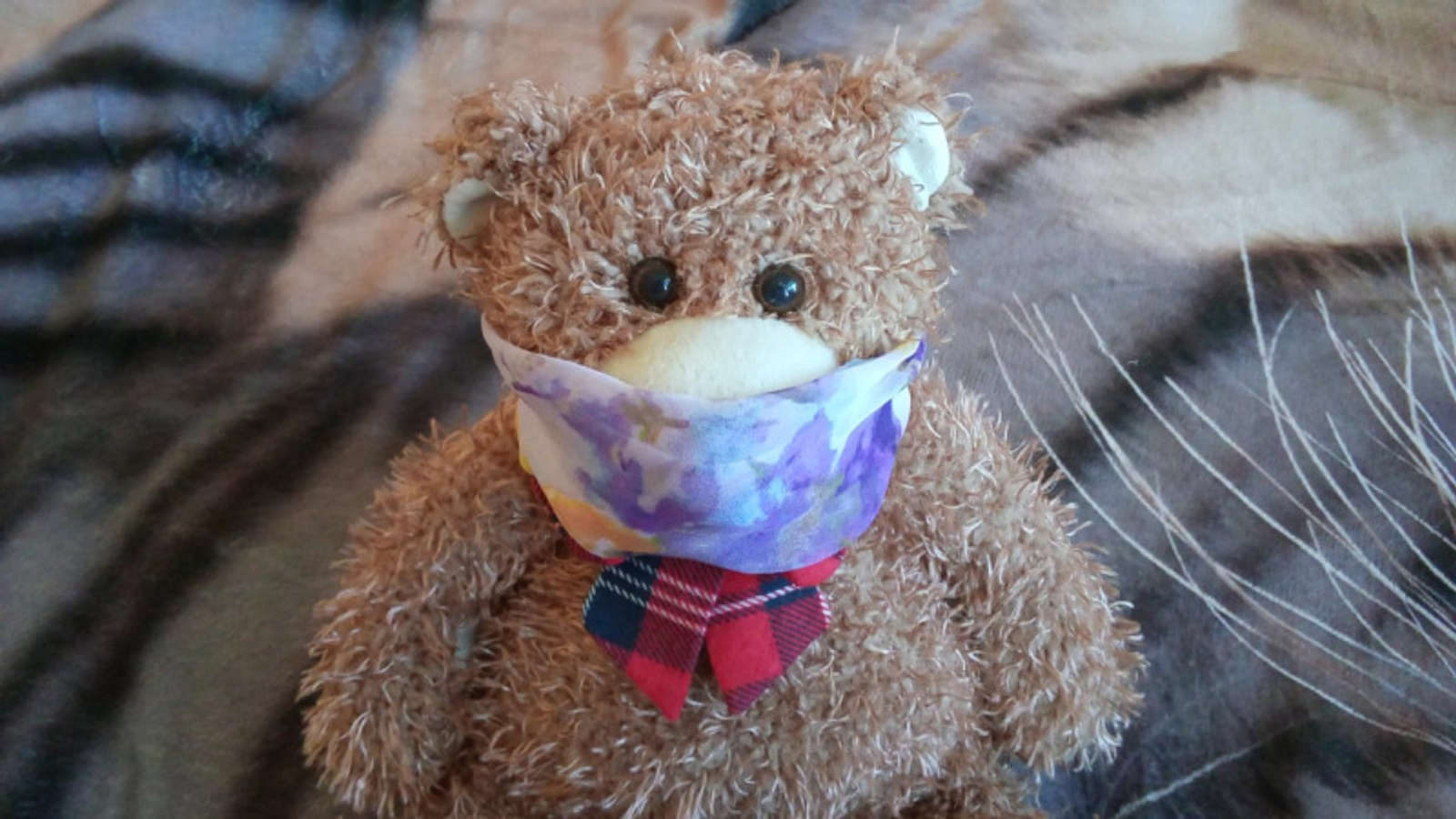 Фото Евгении Сюткиной.