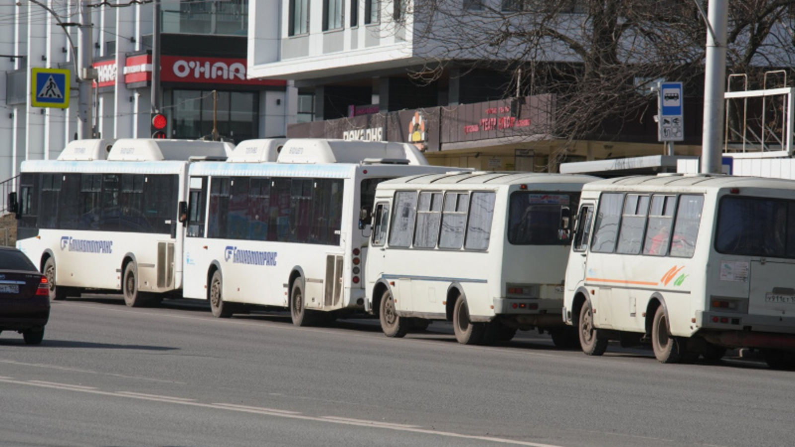 Фото Олега Яровикова.