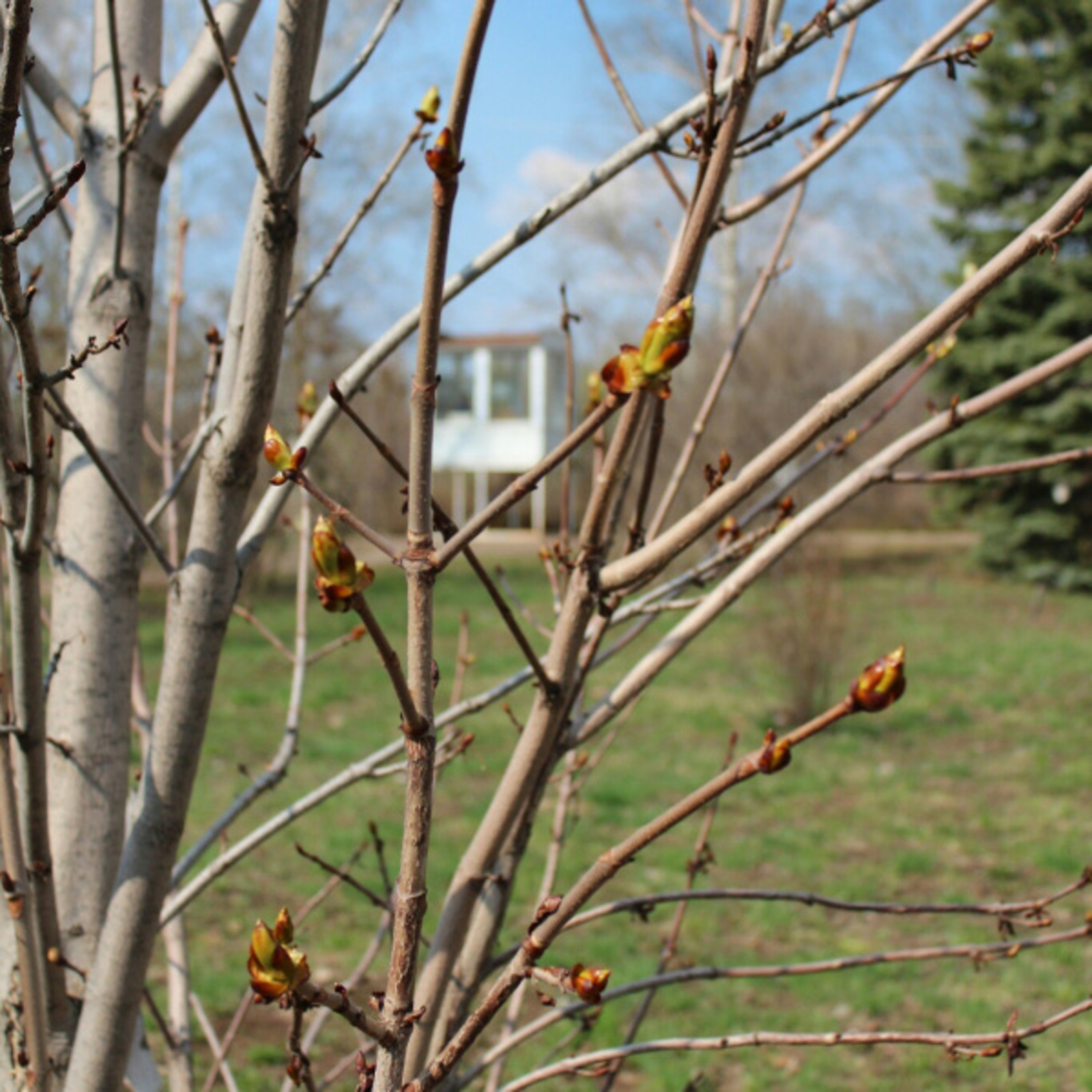 Фото автора.