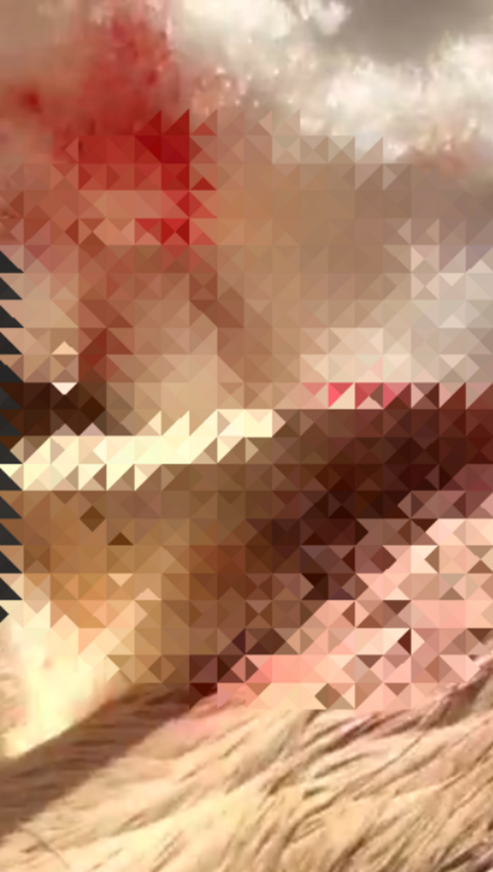 скриншот видео. Центр реабилитации диких животных «Пин и Пуф».